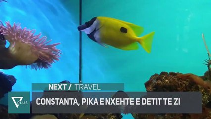 NEXT - Travel / Constanta, pika e nxehte e detit te zi