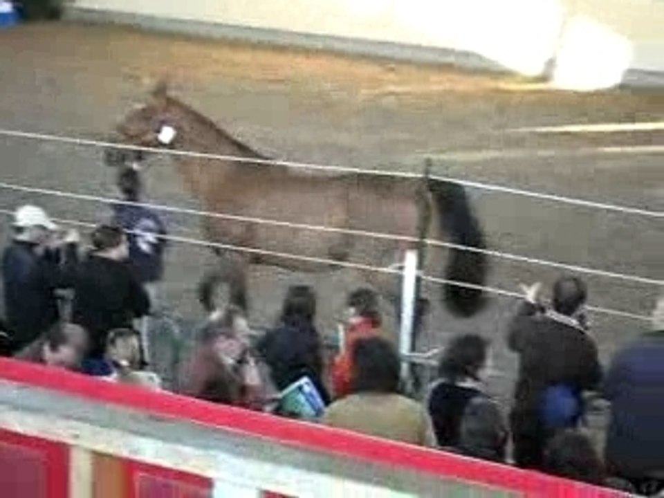 Equi Génétics vid.1