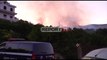 Report TV -Zjarr masiv në dy fshatra në Lushnje, digjen hektarë me ullinj shekullorë