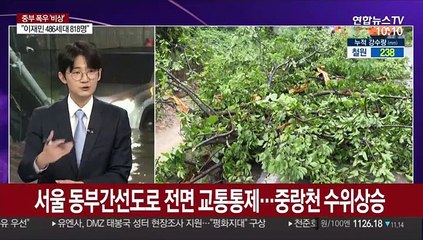 [뉴스포커스] 태풍 '하구핏' 만난 중부 장마…집중호우 비상