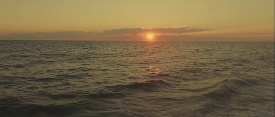 Zombie Island_trailer