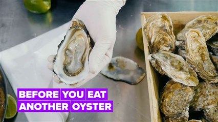 Here’s why you should always check where your oysters are from...
