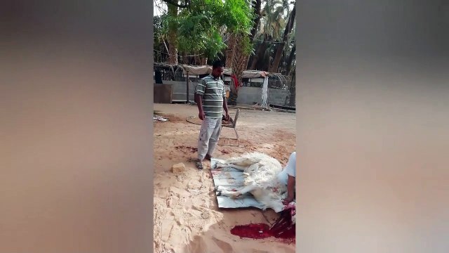 Qurbani in Saudi arbia सऊदी अरब में बकरीद