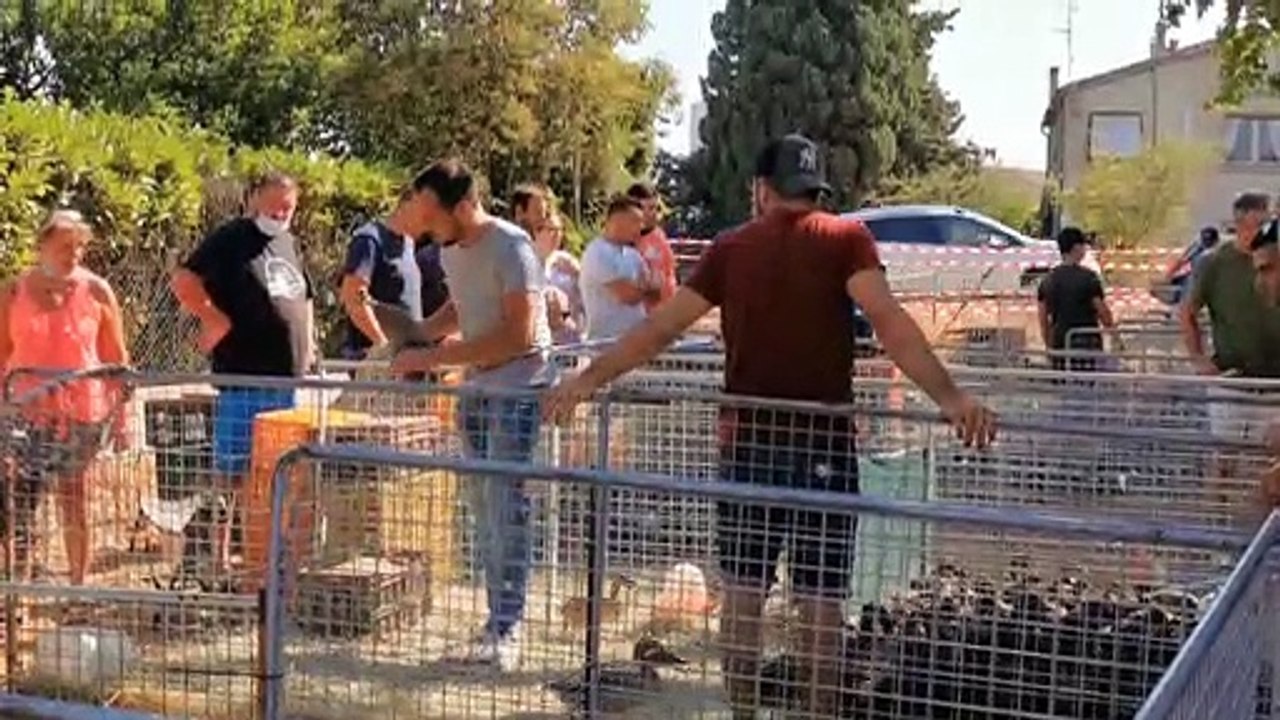 Vauvert : foire des huttiers du Sud