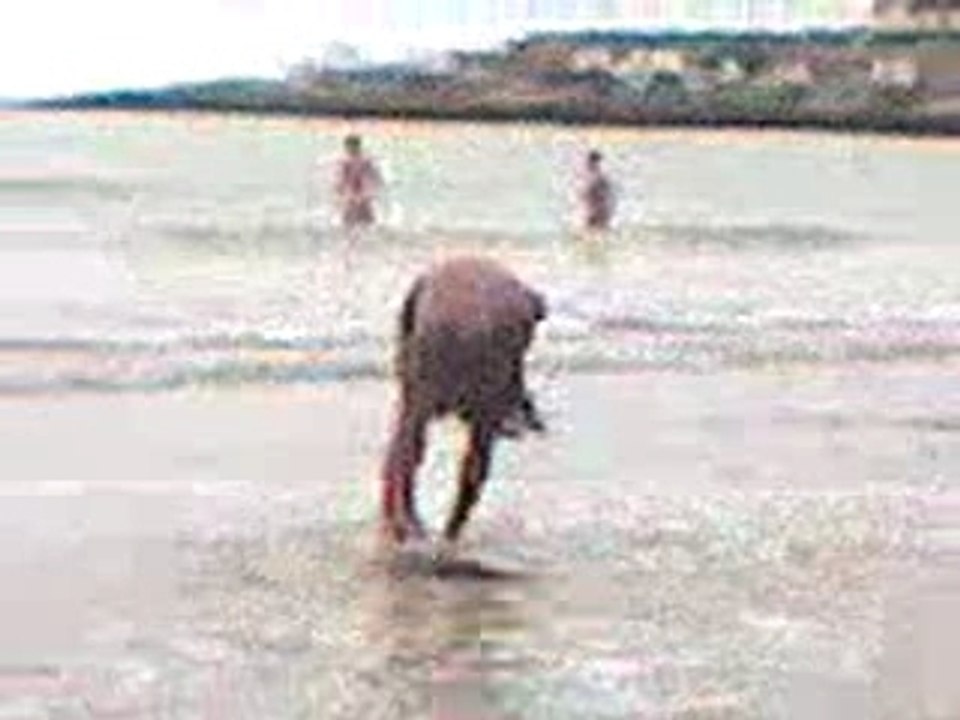 Video-0010