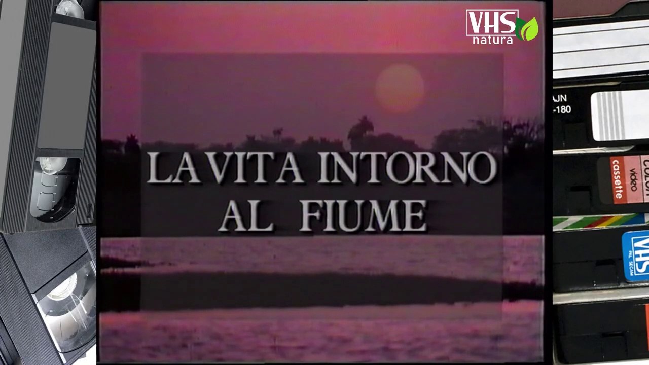 LA VITA INTORNO AL FIUME