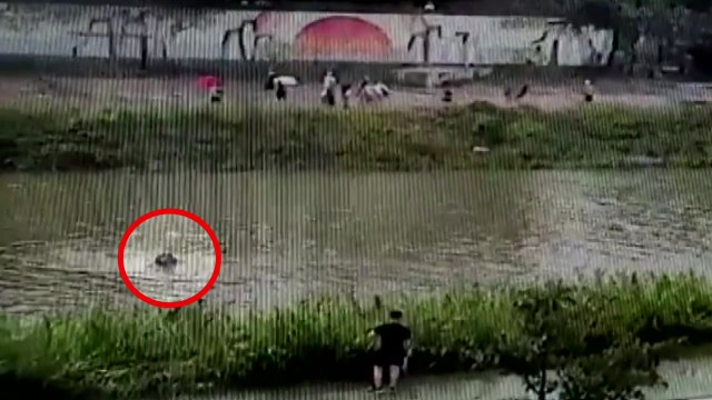급류 빠져 의식 잃은 지적 장애 어린이 경찰관이 구조 / YTN