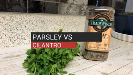 Parsley vs Cilantro