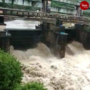 Kerala rains: Heavy showers and gusty winds batter parts of state