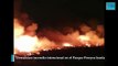 Incendio intencional en el Parque Pereyra Iraola