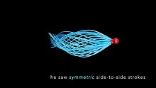 video-SPERM-ILLUSION-SUMMARY