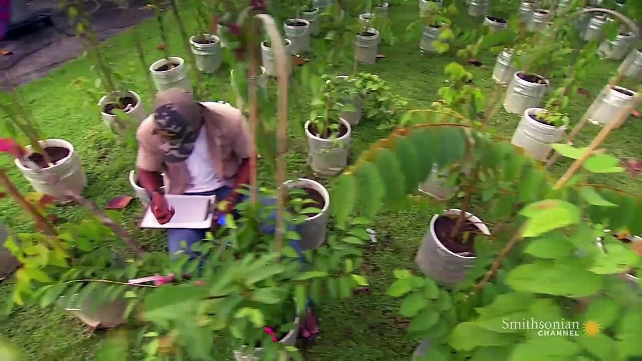 Stories from the Vaults: Crystal Ball