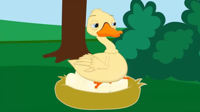 Çirkin Ördek Yavrusu & Kaplumbağa ile Tavşan Masalları