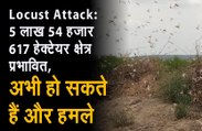 Locust Attack:   5 लाख 54 हजार 617 हेक्टेयर क्षेत्र प्रभावित