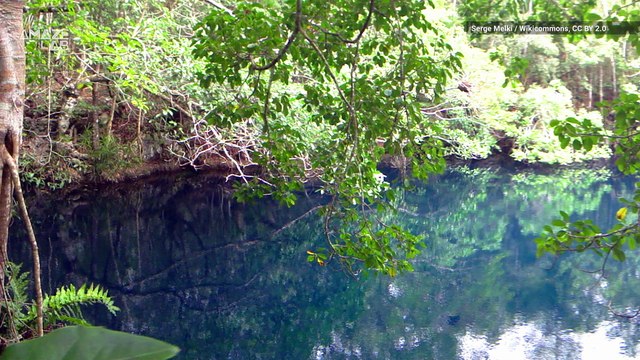 Mexico’s Cenote Angelita is Hiding a Secret Underwater River