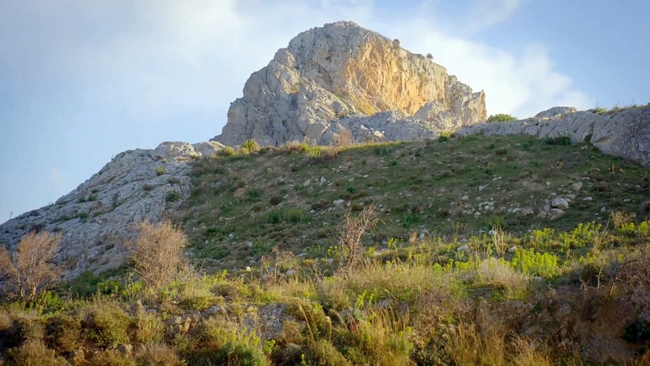 Le break Skoda Octavia Combi fait un grand pas en avant