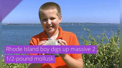 Rhode Island boy digs up massive 2 1/2-pound mollusk, and other top stories from August 03, 2020.