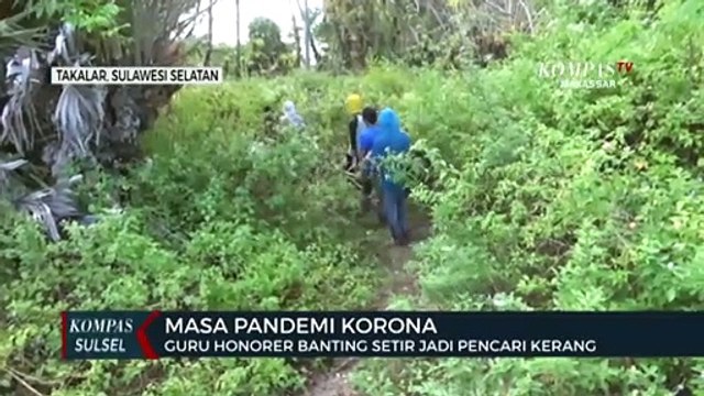 Guru Honorer Banting Setir Jadi Pencari Kerang