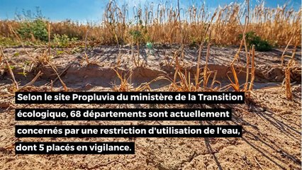 Sécheresse : le mois de juillet a été le plus sec en France depuis 1959