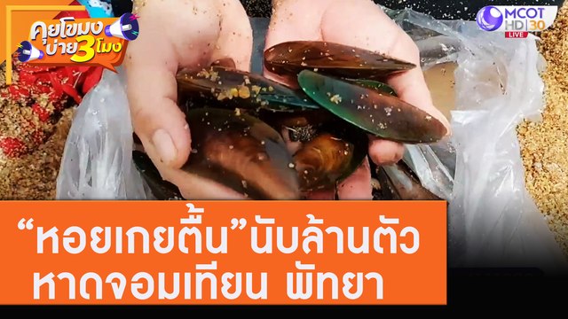 “หอยเกยตื้น” นับล้านตัว หาดจอมเทียน พัทยา [3 ส.ค. 63] คุยโขมงบ่าย 3 โมง | 9 MCOT HD