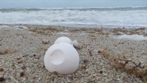 Waves wash away sea turtle eggs