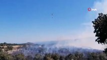 Çanakkale Ayvacık’ta orman yangını