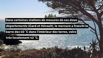 Le soleil a tapé fort dans notre région et ce n’est pas fini !