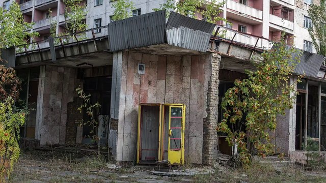 Un champignon de Tchernobyl pourrait protéger les astronautes des radiations