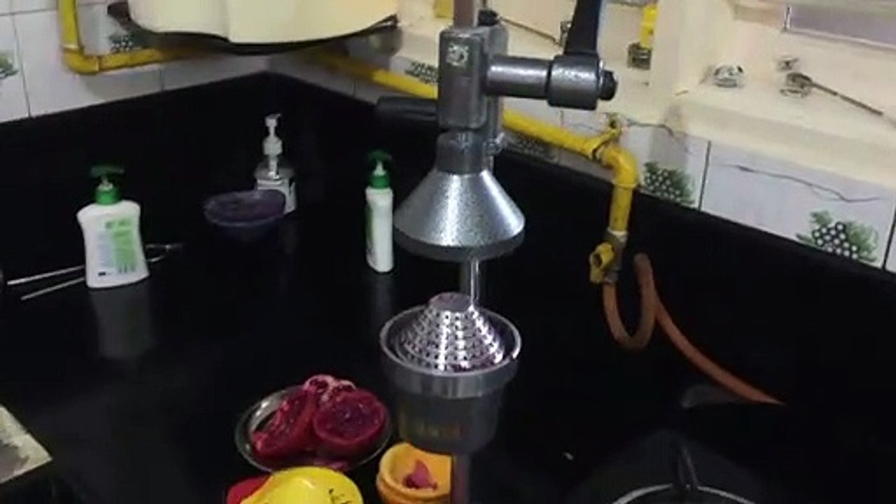 ALLWYN Manual Iron Fruit Squeezer