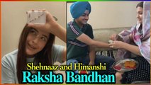 Shehnaaz Gill and Himanshi Khurana Celebrated Raksha Bandhan 2020