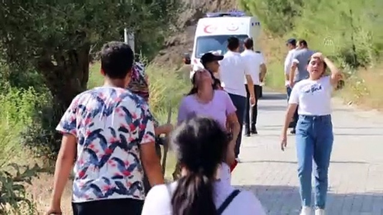 Zeytinlik ve incirlik alanda yangın çıktı - AYDIN