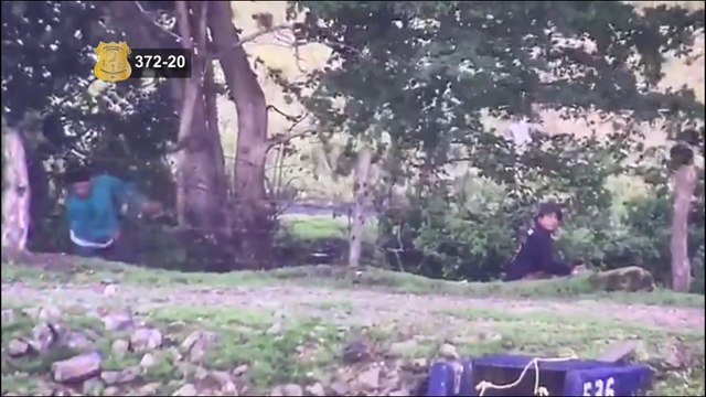 ext-buscados-robo-peces-030820