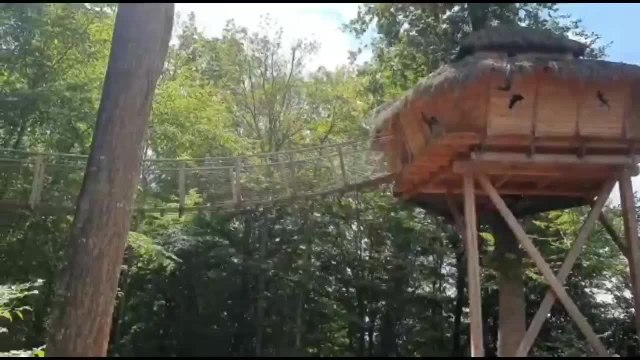 Bienvenue dans les cabanes du bois d’Orient