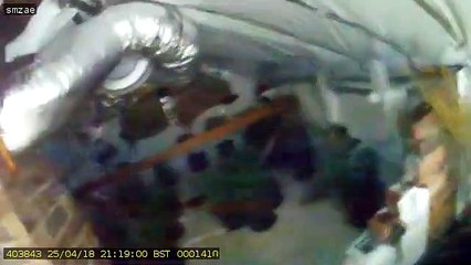 Video captures moment police uncover cannabis farm run by North East underworld crime gang