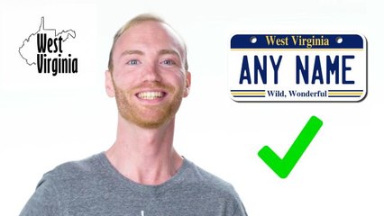 50 People Try To Describe Their State's License Plate