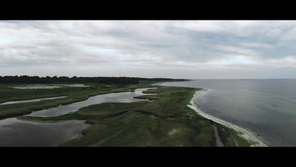 Distant Places, my year 2017