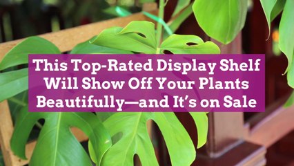 This Top-Rated Display Shelf Will Show Off Your Plants Beautifully—and It’s on Sale
