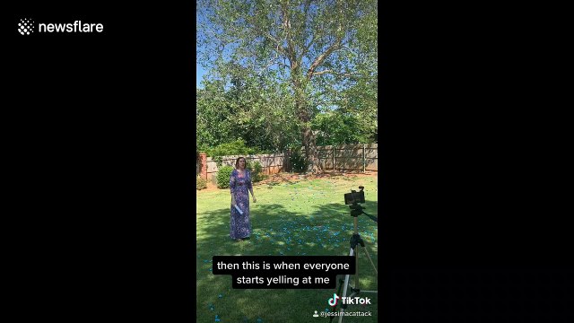 Parents-to-be shocked when 'confetti company' mixes up their gender reveal