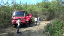 Sinop'ta iki ilçede orman yangını çıktı