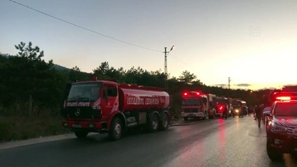 Maltepe'de orman yangını - İSTANBUL