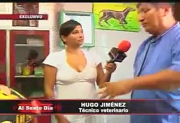 Lay Fun y sus pupilos:  la nueva generación de guardianes contra el crimen