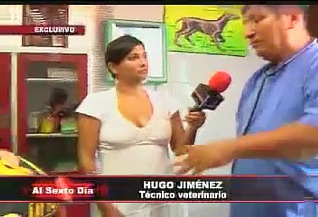Lay Fun y sus pupilos:  la nueva generación de guardianes contra el crimen