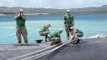 U.S Navy •  Fast Attack Submarines  • Naval Base Guam July 13, 2020