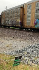 Disgruntled Lady Cranking Brakes on Parked Train