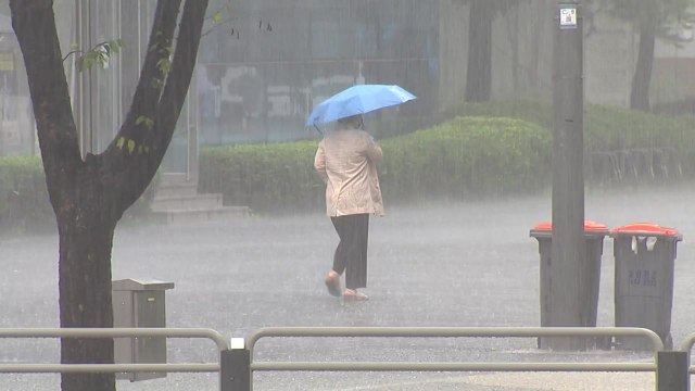 [날씨] 오늘도 중부 집중호우...수도권·영서 시간당 120mm 폭우 / YTN
