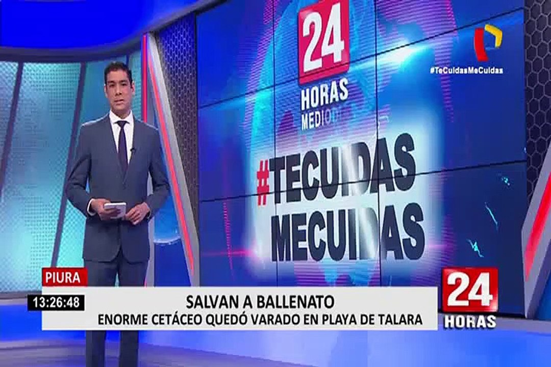 Piura: pobladores rescatan a ballena varada en una playa
