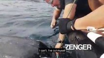 Spanish cops free sea turtle trapped in ropes