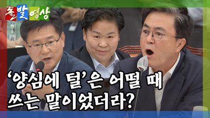 [돌발영상] "이의 있습니다!" / YTN