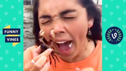 TRY NOT TO LAUGH - End of SUMMER FAILS! Part 3