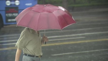[날씨] 중부 최고 500mm 호우...잠수교 사흘째 전면 통제 / YTN